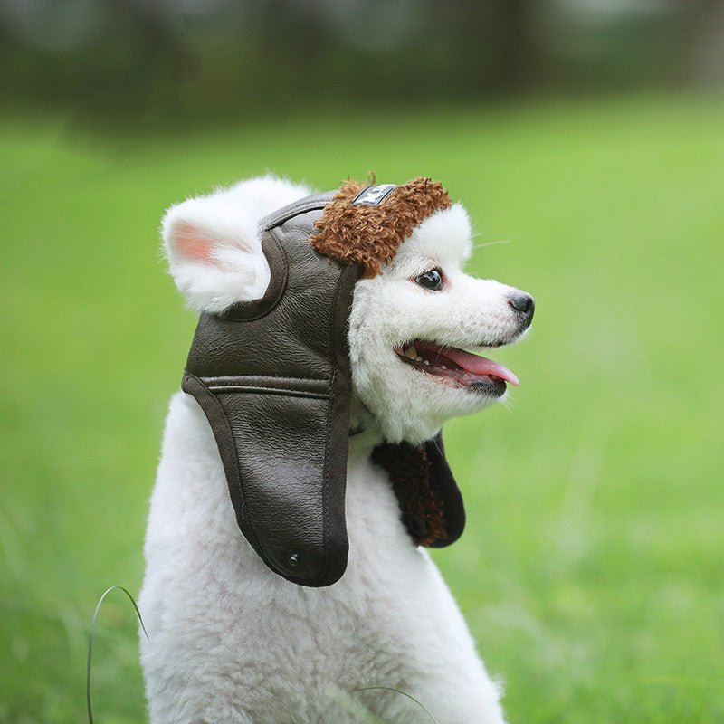 7 Best summer dog accessories